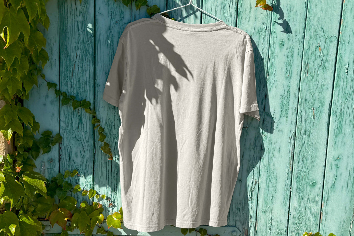 Gesamtansicht: Hinterseite eines T-Shirt in hellem grau vor blauen Hintergrund. 